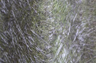 Twemlow Green fibreglass roof work